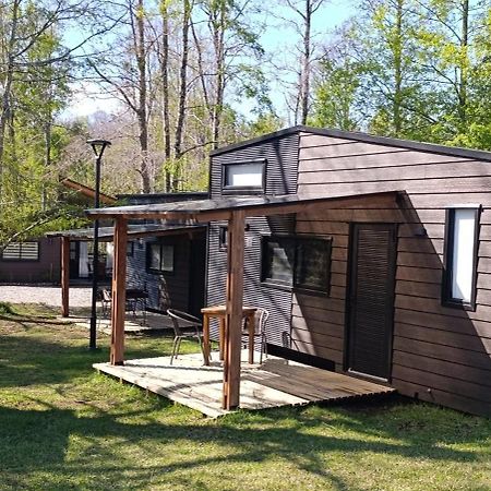 Cabanas Alto Bosque プコン エクステリア 写真